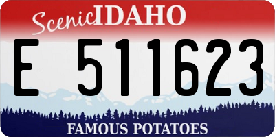 ID license plate E511623