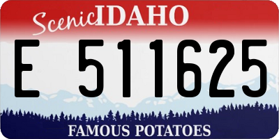 ID license plate E511625