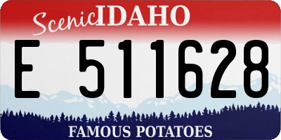 ID license plate E511628