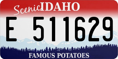 ID license plate E511629