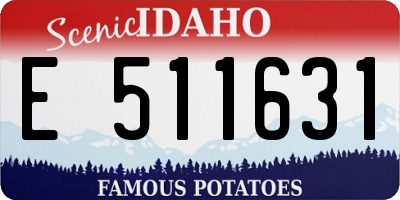 ID license plate E511631