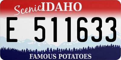 ID license plate E511633