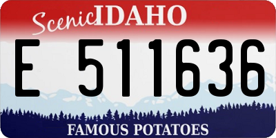 ID license plate E511636