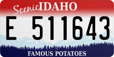 ID license plate E511643