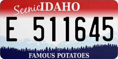 ID license plate E511645