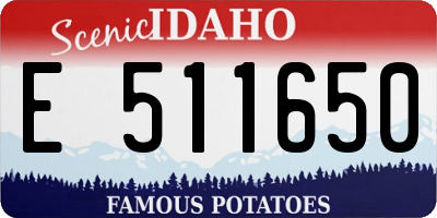 ID license plate E511650