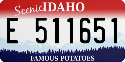 ID license plate E511651