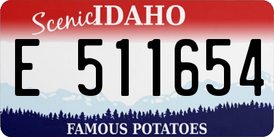ID license plate E511654