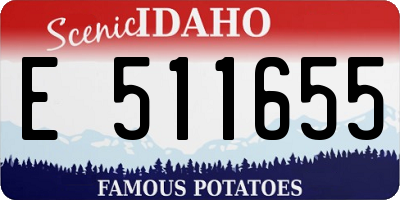 ID license plate E511655