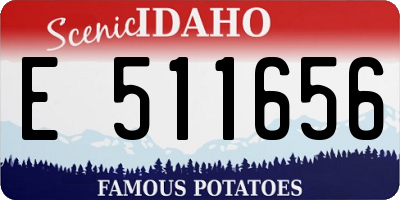 ID license plate E511656