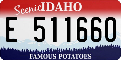 ID license plate E511660