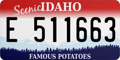 ID license plate E511663