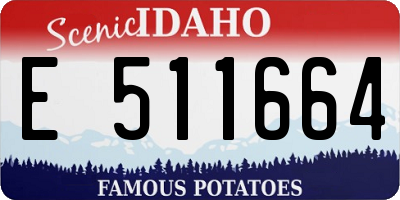 ID license plate E511664