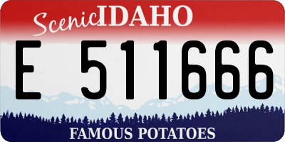 ID license plate E511666