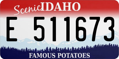 ID license plate E511673