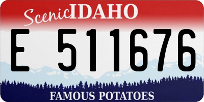 ID license plate E511676