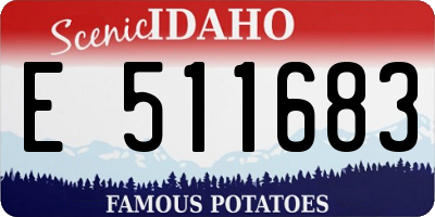 ID license plate E511683