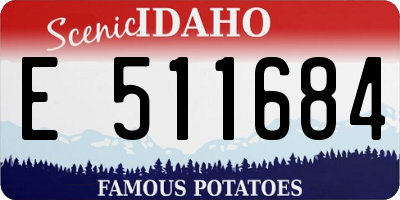 ID license plate E511684