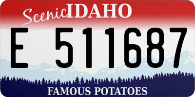 ID license plate E511687