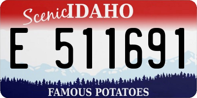 ID license plate E511691