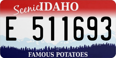 ID license plate E511693