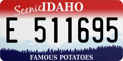 ID license plate E511695