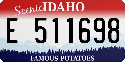 ID license plate E511698