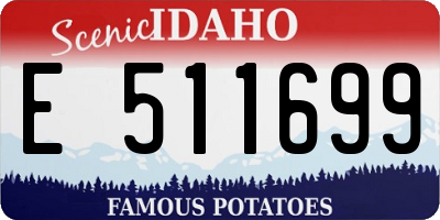 ID license plate E511699