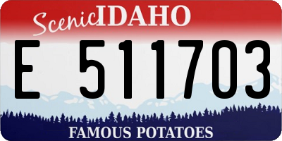 ID license plate E511703