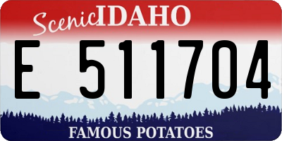 ID license plate E511704