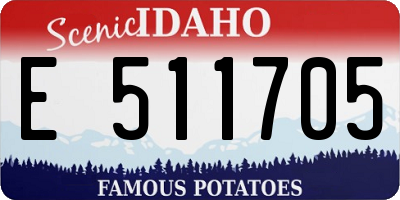 ID license plate E511705