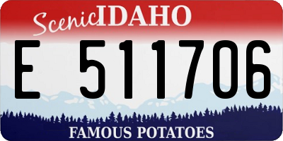ID license plate E511706