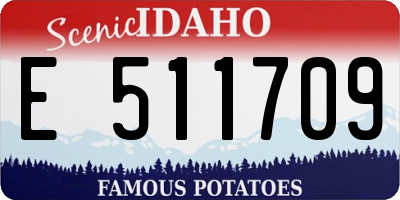 ID license plate E511709