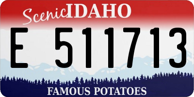 ID license plate E511713