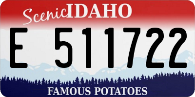 ID license plate E511722