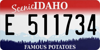 ID license plate E511734