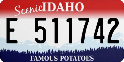 ID license plate E511742