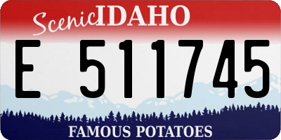 ID license plate E511745