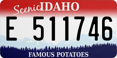 ID license plate E511746