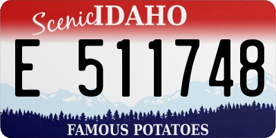 ID license plate E511748