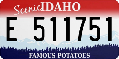 ID license plate E511751