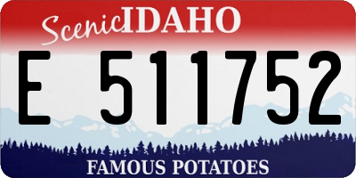 ID license plate E511752