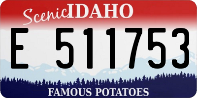 ID license plate E511753