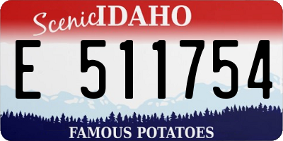 ID license plate E511754