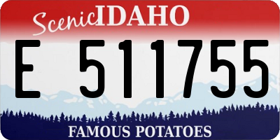 ID license plate E511755