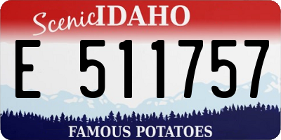 ID license plate E511757