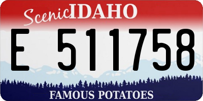 ID license plate E511758
