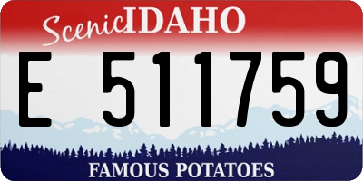 ID license plate E511759