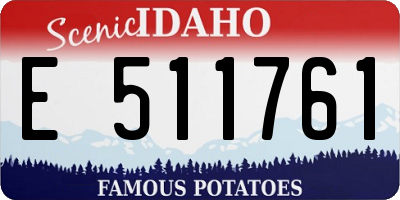 ID license plate E511761