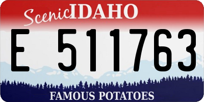 ID license plate E511763